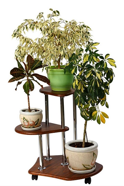 Подставка для цветов Мебелик Двоечка 006298 Фото № 4