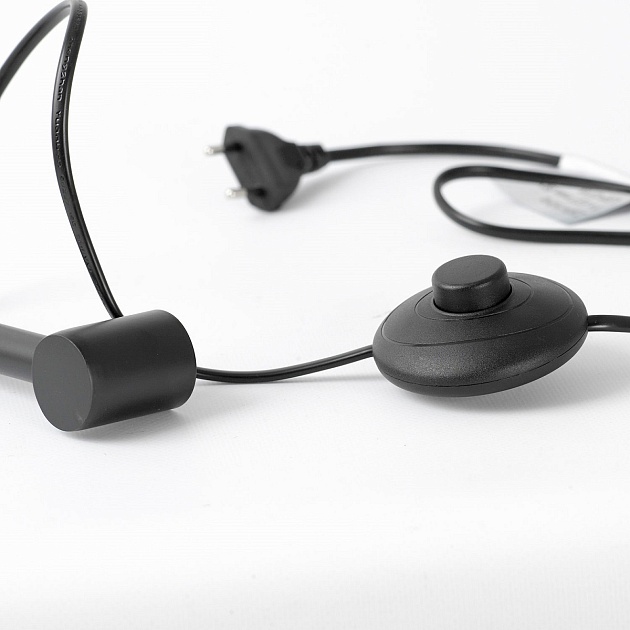 Торшер Lussole Escambia LSP-0718 Фото № 7