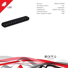 Трековый светодиодный светильник Reluce 13002-9.3-001UR magnetic LED12W BK 3