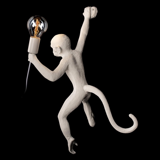 Настенный светильник Loft IT Monkey 10314W/B Фото № 5