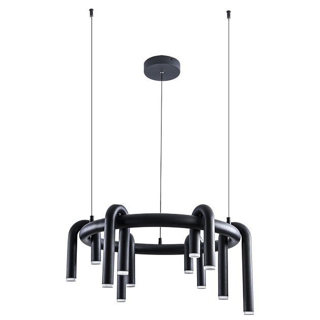Подвесная светодиодная люстра Arte Lamp Warhol A3258LM-30BK Фото № 1
