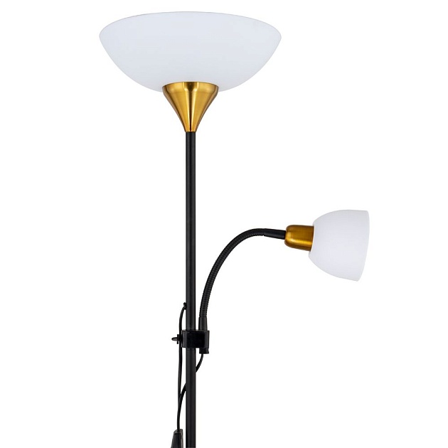 Торшер Arte Lamp Duetto A9569PN-2BK Фото № 4