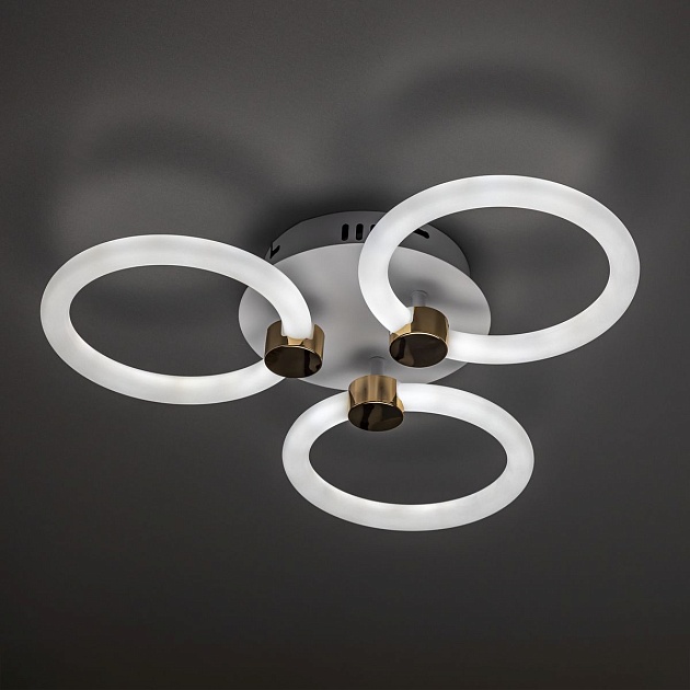 Потолочная светодиодная люстра Ritter Ottimo 51611 2 Фото № 6