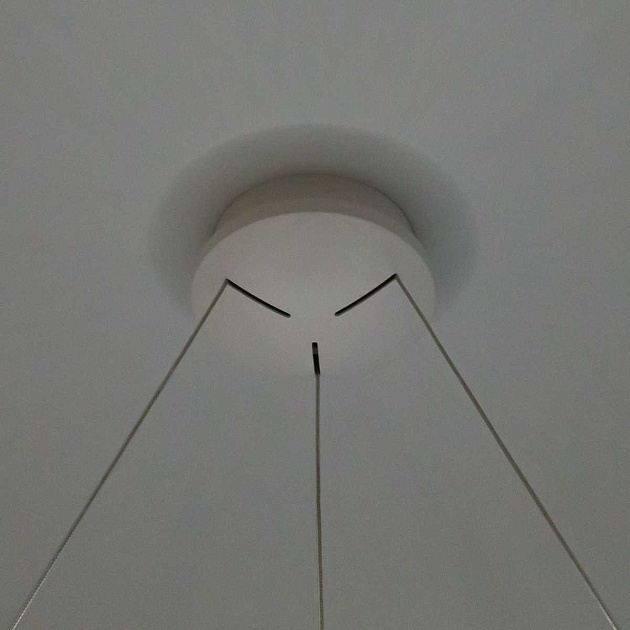 Подвесная люстра Citilux Стратус Смарт CL732A800GS Фото № 4