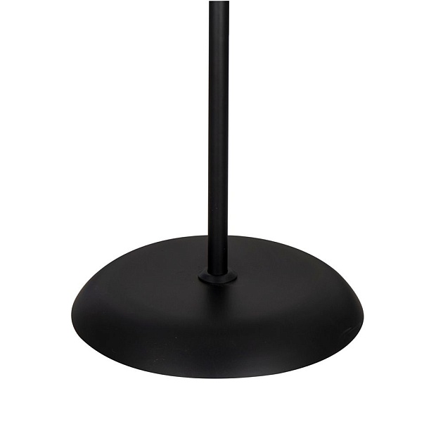 Торшер Arte Lamp Duetto A9569PN-2BK Фото № 2