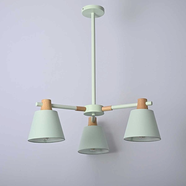 Подвесная люстра Imperium Loft Natura 101824-26 Фото № 10