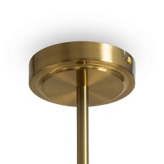 Подвесная люстра Freya Tender FR5373CL-08BS 5