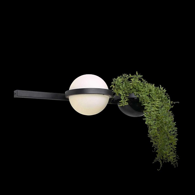 Настенный светильник LOFT IT Jardin 10121W/A Фото № 4