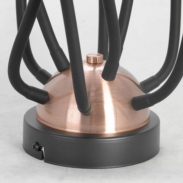 Потолочная люстра Lussole Loft Regina GRLSP-8247 Фото № 5