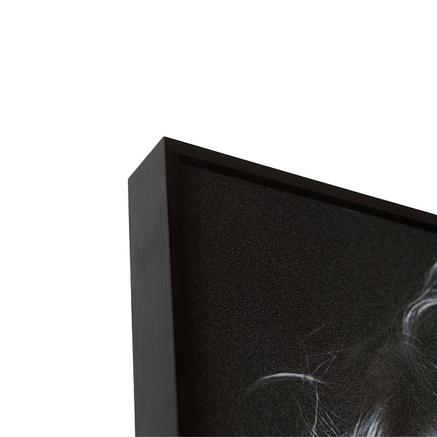 Картина Lumina Deco FP Blondie 80-120 Фото № 4