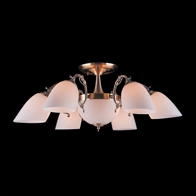 Потолочная люстра Eurosvet 22010/6+2 античная бронза изображение 5 Потолочная люстра Eurosvet 22010/6+2 античная бронза Фото № 5