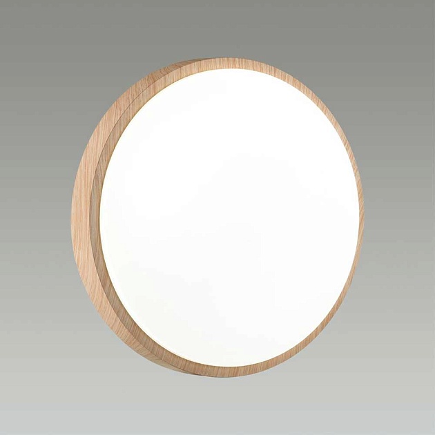 Настенно-потолочный светодиодный светильник Sonex Losta 7607/EL Фото № 2