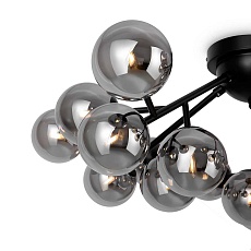 Потолочная люстра Maytoni Dallas MOD545CL-20B 1