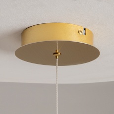 Подвесной светодиодный светильник Maytoni Foresight MOD347PL-L8BS3K 2