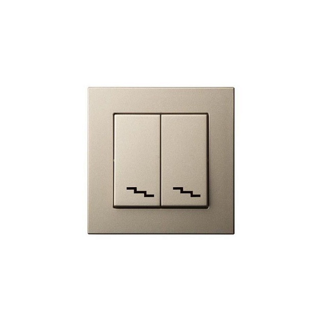 Переключатель двухклавишный Liregus шампань 28-304 изображение 1 Переключатель двухклавишный Liregus шампань 28-304 Фото № 1