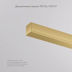 Вставка декоративная Denkirs Shine Base TR5737-SB 5