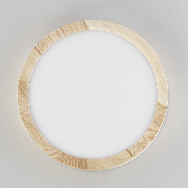 Светильник накладной Citilux Бейсик CL738122N Фото № 5