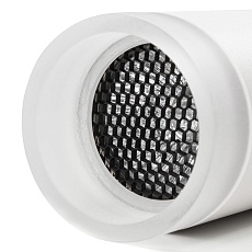 Потолочный светильник Arte Lamp Ogma A5556PL-1WH 1