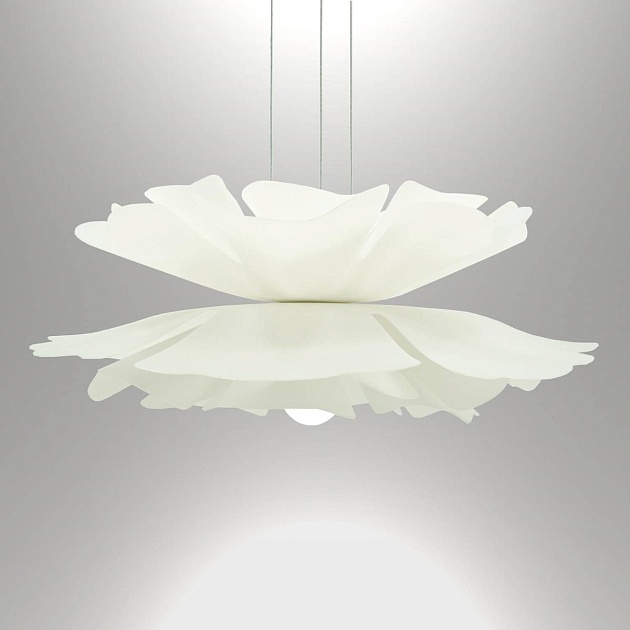 Подвесная люстра Lightera Chad LE116L-60W Фото № 2