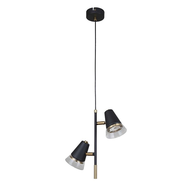 Подвесная люстра F-Promo Trandy 4618-2P изображение 3 Подвесная люстра F-Promo Trandy 4618-2P Фото № 3