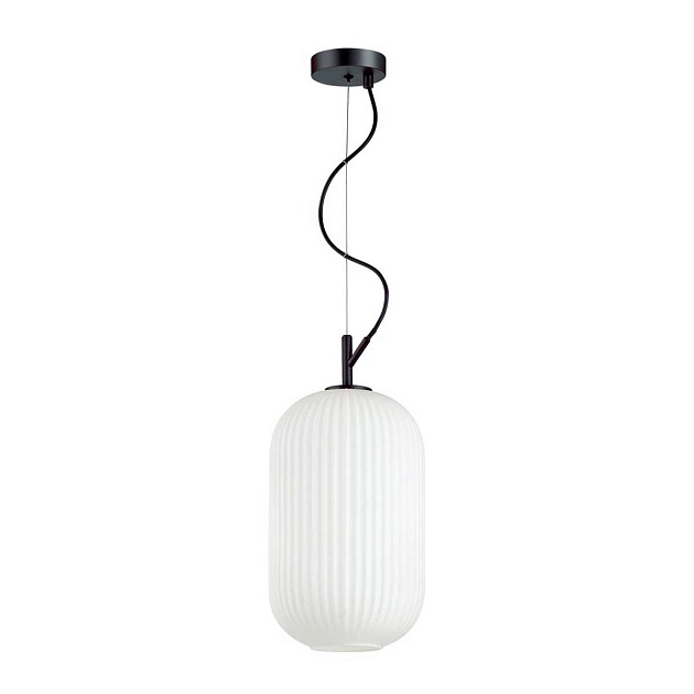 Подвесной светильник Odeon Light Pendant Roofi 4751/1 Фото № 1