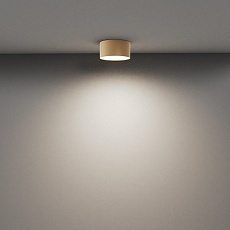 Потолочный светодиодный светильник Maytoni Technical Zon C032CL-12W4K-RD-MG 4