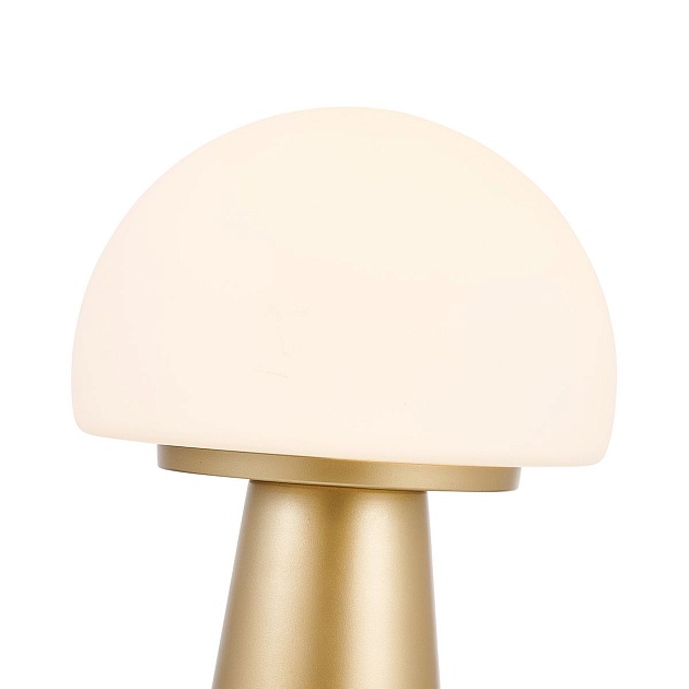 Настольная лампа Favourite Hongo 4450-1T Фото № 5