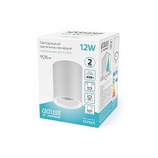 Потолочный светодиодный светильник Gauss Overhead HD011 1