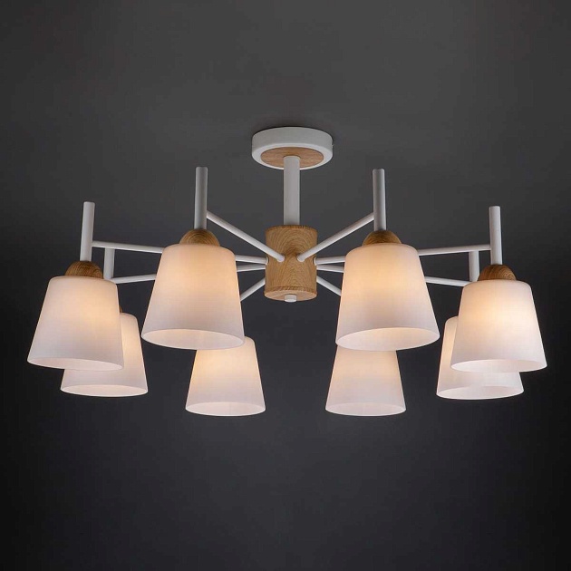 Потолочная люстра Eurosvet 70085/8 белый изображение 1 Потолочная люстра Eurosvet 70085/8 белый Фото № 1