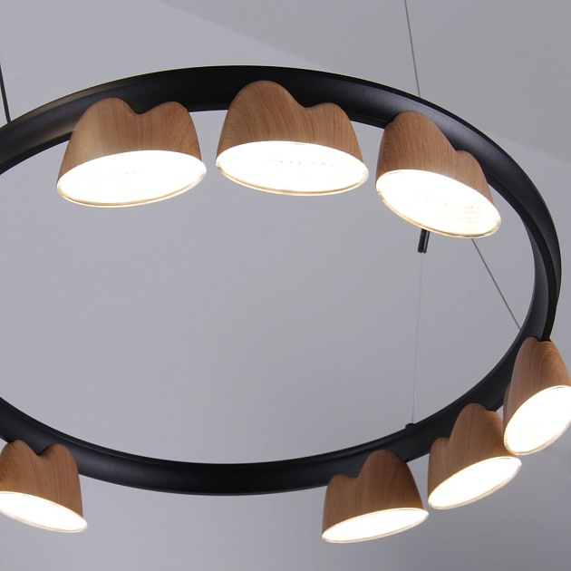 Подвесная светодиодная люстра Favourite Interline 4266-21P Фото № 3