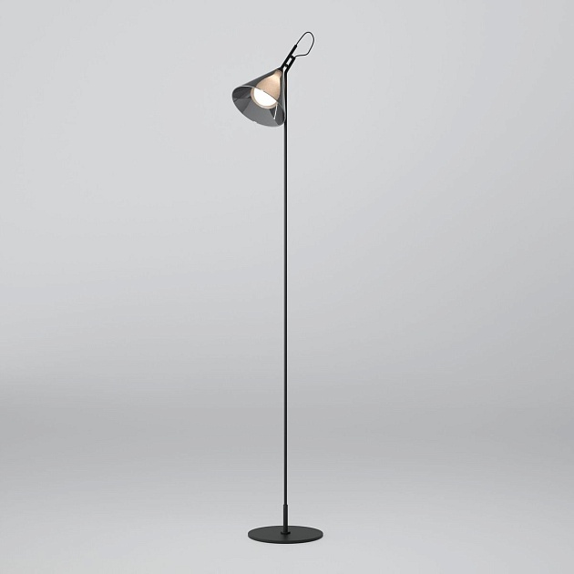 Торшер Eurosvet Enigma 01187/1 черный изображение 1 Торшер Eurosvet Enigma 01187/1 черный Фото № 1