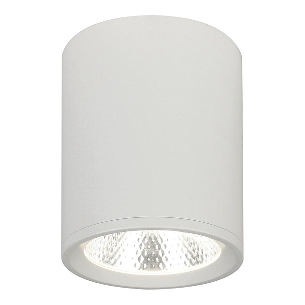 Потолочный светодиодный светильник Escada 20003SMU/02LED SWH Фото № 1