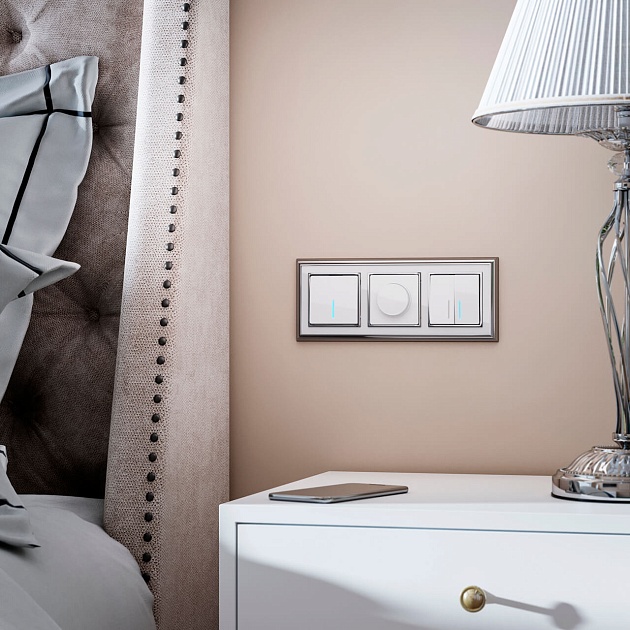 Диммер Werkel белый W1142001 4690389155253 Фото № 5