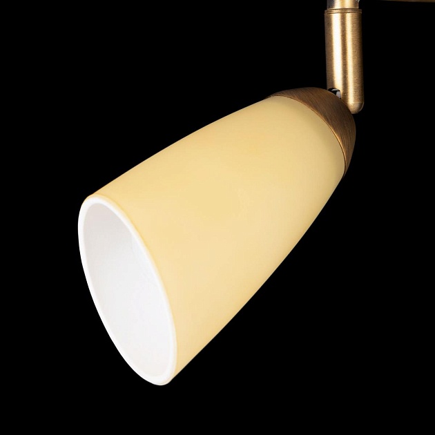 Спот Citilux Белла CL501163 Фото № 7