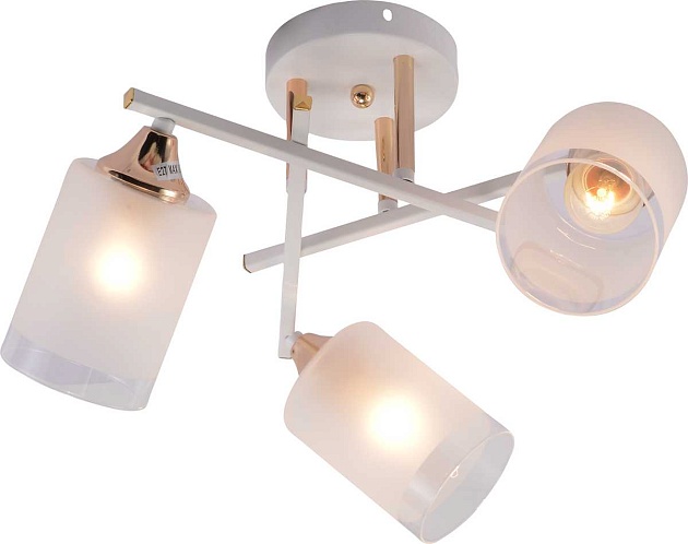 Потолочная люстра Rivoli Tammy 3162-303 Б0059258 изображение 6 Потолочная люстра Rivoli Tammy 3162-303 Б0059258 Фото № 6