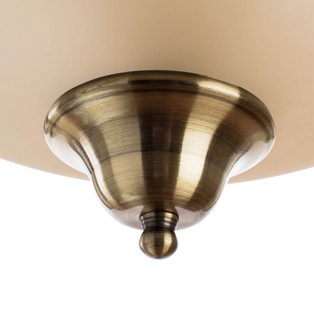 Потолочный светильник Arte Lamp Safari A6905PL-2AB Фото № 4