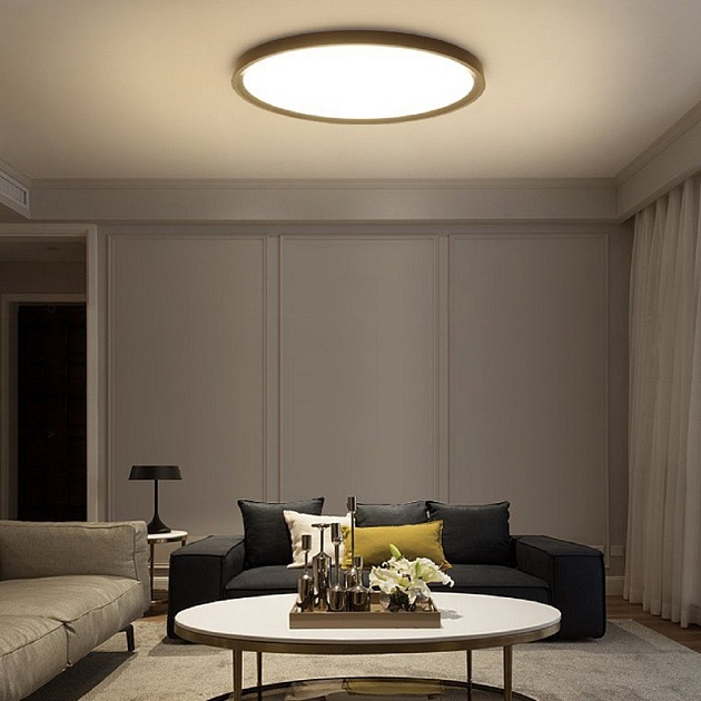 Потолочный светодиодный светильник Imperium Loft Extralism 212746-26 Фото № 3