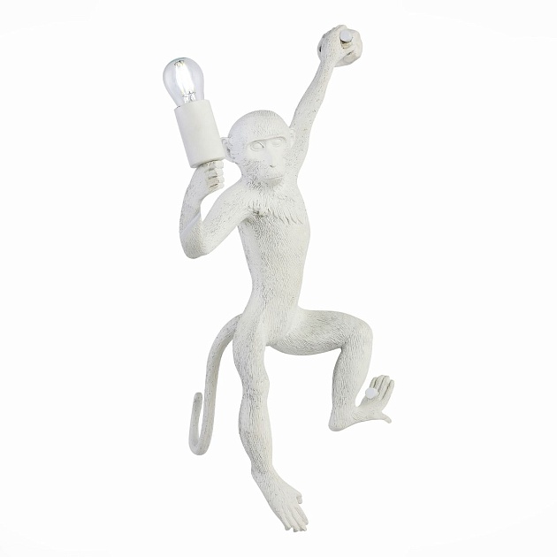 Бра Evoluce Tenato SLE115111-01 Фото № 1