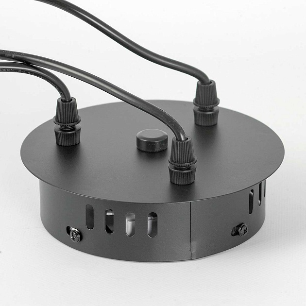 Подвесная люстра Lussole LOFT Jasper LSP-8641 Фото № 5