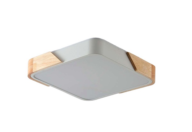 Потолочный светильник Zortes ALBERRO ZRS.01285.36 Фото № 5