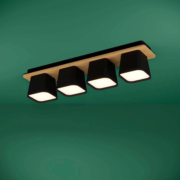 Потолочная люстра Eglo Ruscio 390008 Фото № 2