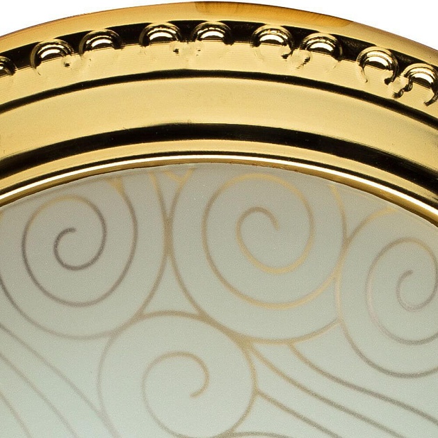 Потолочный светильник Arte Lamp 28 A3013PL-2GO Фото № 3