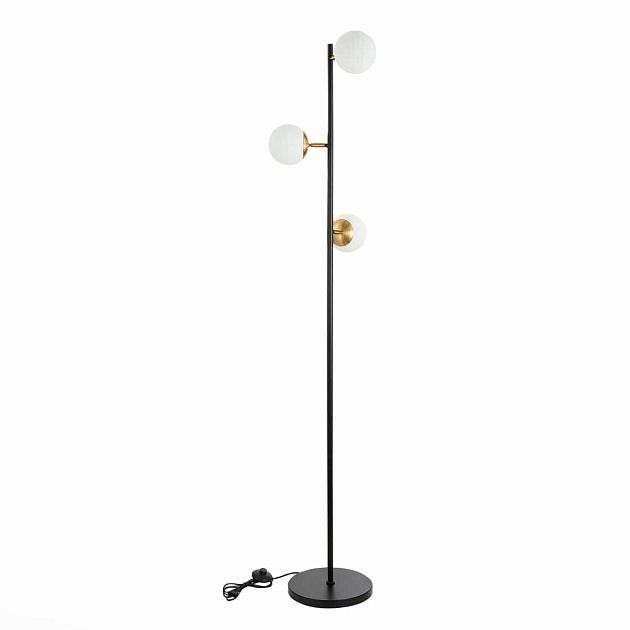 Торшер Evoluce FORLI SLE220405-03 Фото № 2