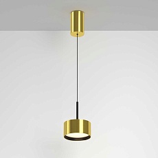 Подвесной светильник Maytoni Technical Glare P102PL-12W3K-BS 5