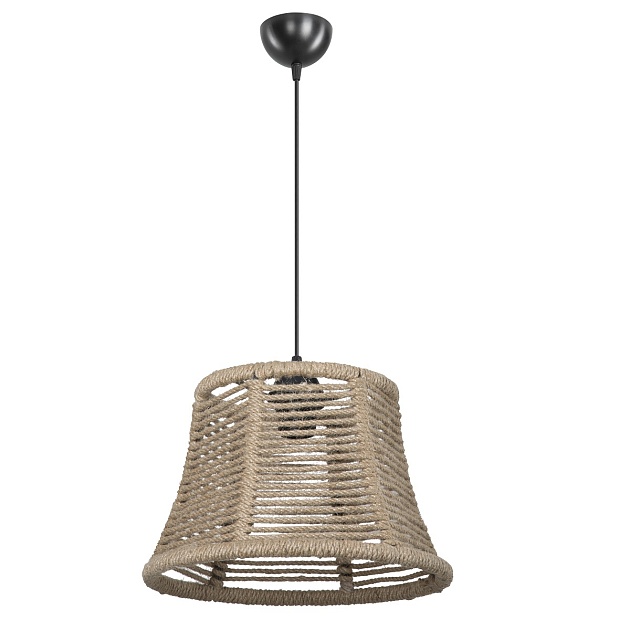 Подвесной светильник Toplight Alethea TL1655H-01NA Фото № 1