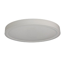 Потолочный светодиодный светильник Zortes Bella ZRS.1200.07