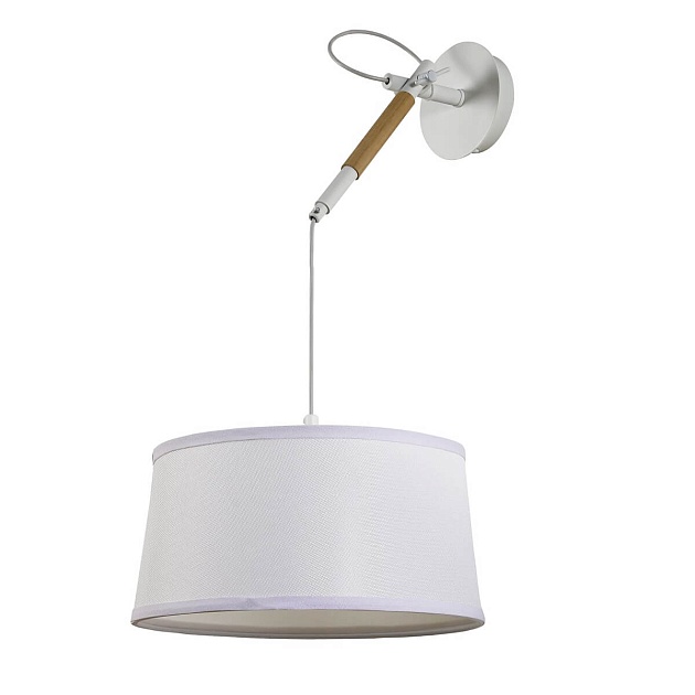 Подвесной светильник F-Promo Eureka 3005-1P изображение 5 Подвесной светильник F-Promo Eureka 3005-1P Фото № 5