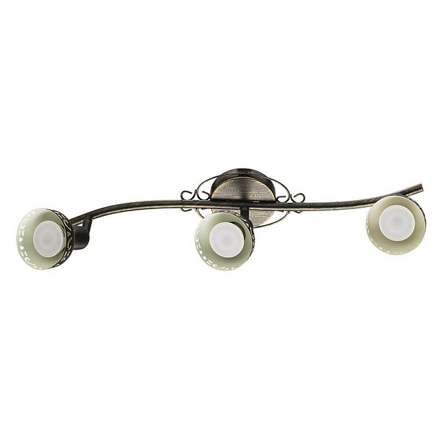 Спот Arte Lamp Focus A5219PL-3BR Фото № 1