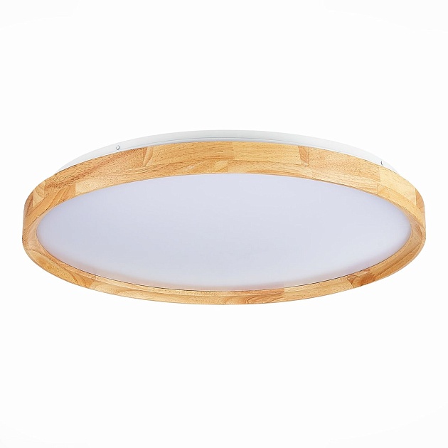 Потолочный сетодиодный светильник Evoluce Delia SLE201382-01 Фото № 1