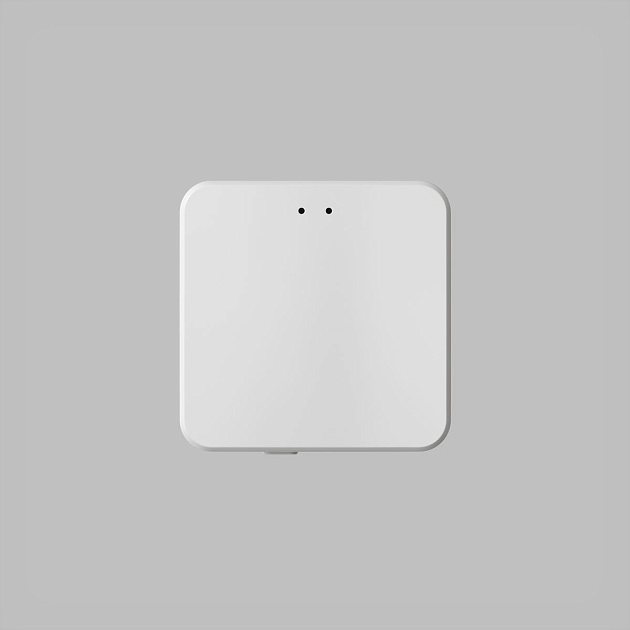 Конвертор Denkirs Control BT DK7401-WF изображение 1 Конвертор Denkirs Control BT DK7401-WF Фото № 1